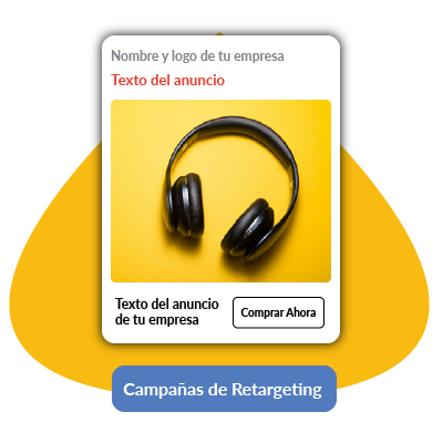 ani port linkedin ads-10